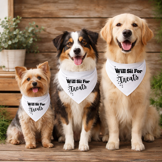 Bandana- You Look Like I Need A Treat